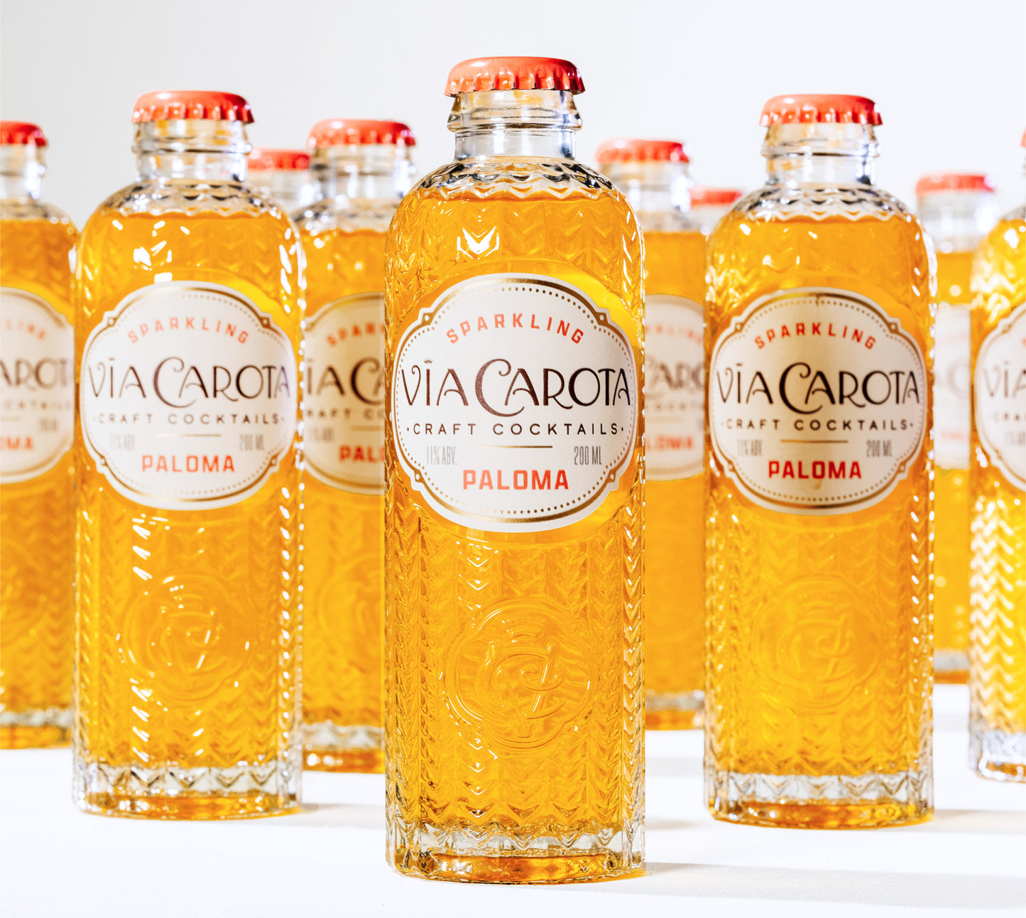 Paloma 10-Pack
